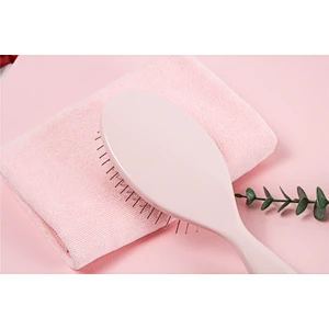 Customized Handle Natural Massage Scalp Handle Cushion Paddle Wholesale Air Cushion Women Plastic Scalp Massage Hair Brush