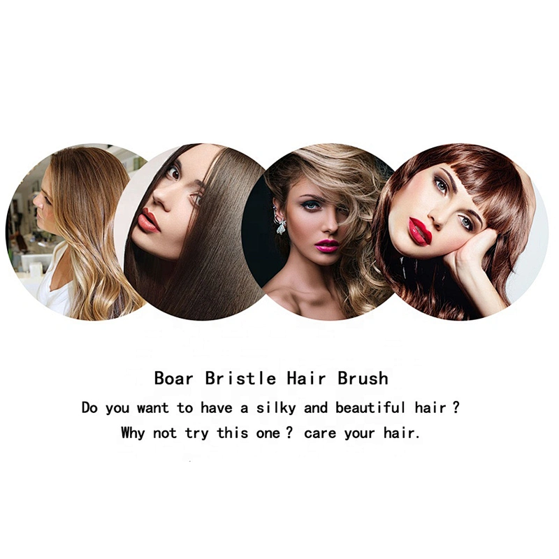 New Design Professional Electroplating Wig Hair Brush Hair Extension Brush Boar Bristle Nylon Pin Detangling Hair Brush