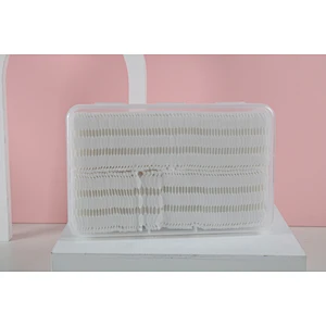 Wholesale Factory Biodegradable Bamboo Ear Cotton Buds Disposable Cotton Swabs Cotton Swabs Bamboo Sticks