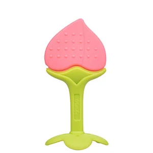BPA FREE silicone training toy baby fruit teether
