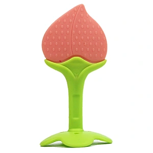 New Fashion toy Fruit vegetables names and babi grape teether silicone