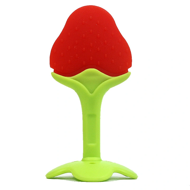 New Fashion toy Fruit vegetables names and babi grape teether silicone
