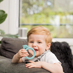 Cheap Factory Price food Grade Silicone baby fruit teethe environmentally friendly teether cute animal in low