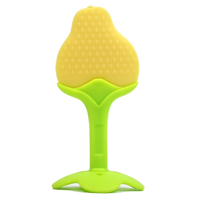 New Fashion toy Fruit vegetables names and babi grape teether silicone
