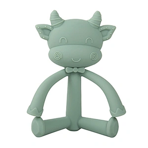 Factory hot sale fruit teether silicone toys for kids teething baby safe Cheap Price