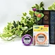 Hot sale  Simple and beautiful cabinet, convenient to carry & round  timer timer control timer digital