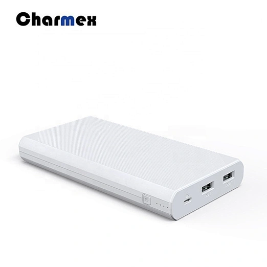 Portable 2 USB Charging Ports Large Capacity  ROHS Power Bank 20000mAh For Mobile Phone Charging