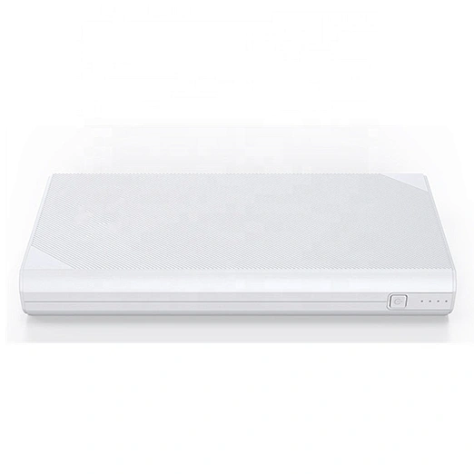 Portable 2 USB Charging Ports Large Capacity  ROHS Power Bank 20000mAh For Mobile Phone Charging
