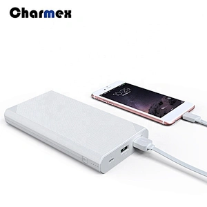 Portable 2 USB Charging Ports Large Capacity  ROHS Power Bank 20000mAh For Mobile Phone Charging