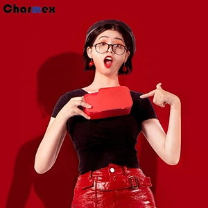 Charmex Home use Small Size Easy Operating Ultrasonic Cleaning Machine For Jewellery