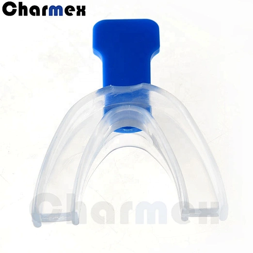 Charmex Portable Denture Storage Box Dental Retainer Case Denture Cleaning Box