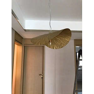 Nordic art lighting chandelier 30w modern luxury lamp decoration ceiling light E14 golden led chandelier