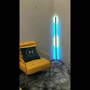 Direct selling unique modern dimmable standing minimalist RGB LED floor lamp