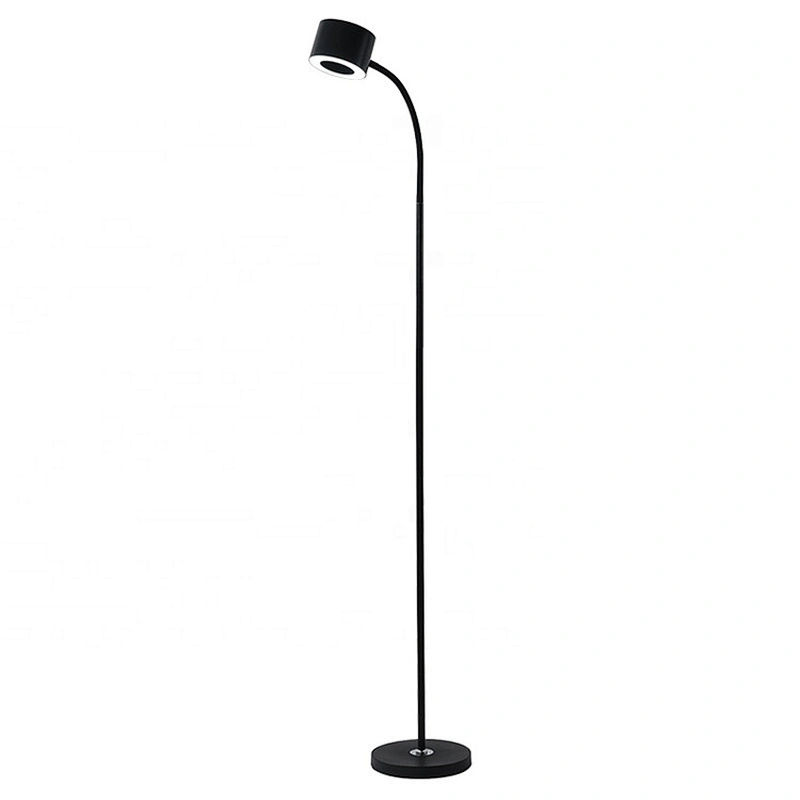 Professional Manufacturer Modern Home Decoration Lightings Rechargeable Led Standing Floor Lamp