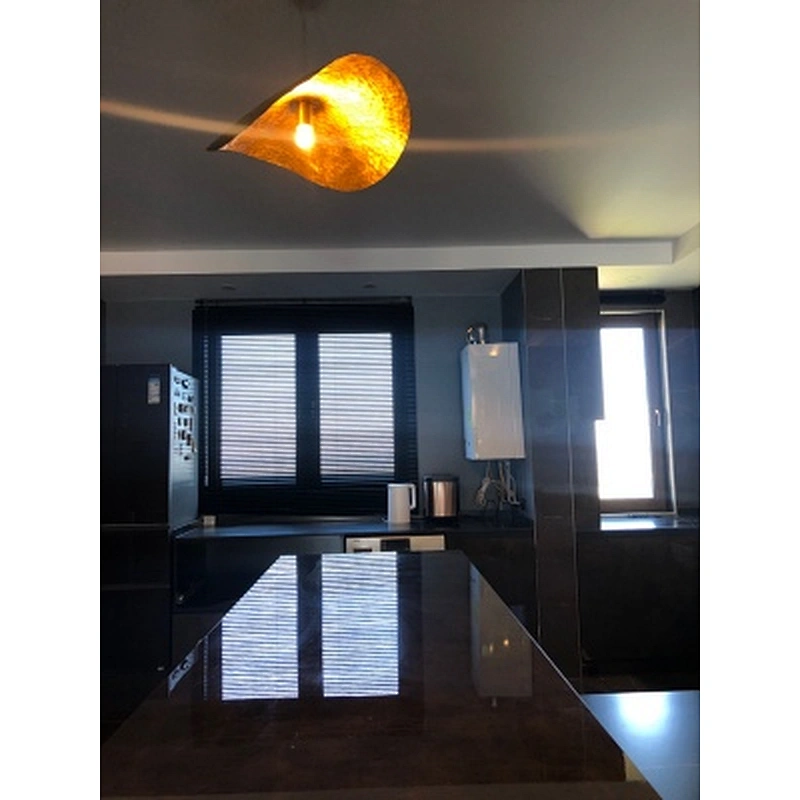 Nordic art lighting chandelier 30w modern luxury lamp decoration ceiling light E14 golden led chandelier