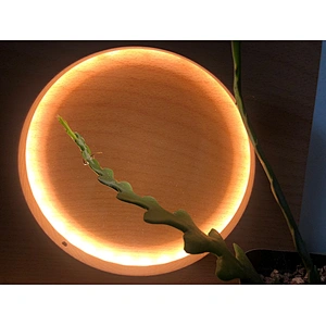 Indoor touch switch USB port desk lamp bedroom wooden desk eye protection desk led lamp