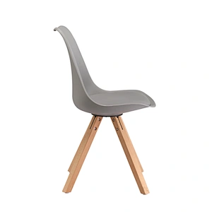 Modern Plastic Beech Leg Chair