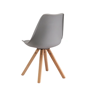 Modern Plastic Beech Leg Chair