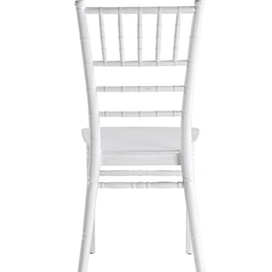 Fashion Plastic Succinct Dining Chair