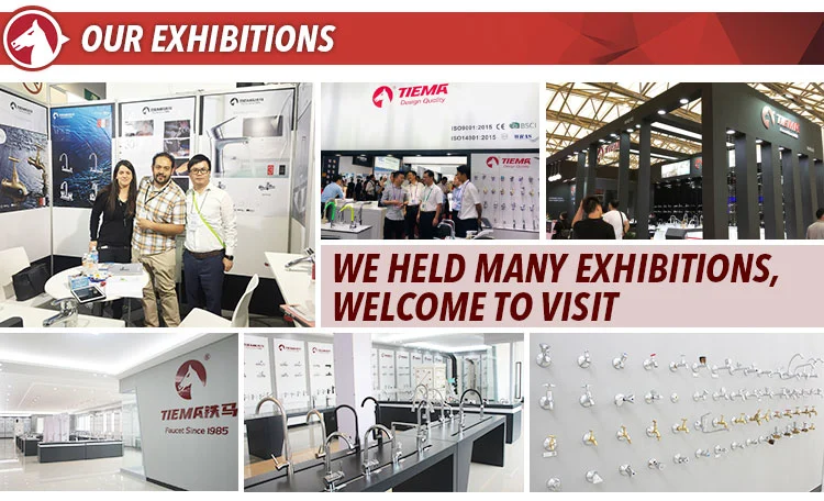 tiema exhibitions