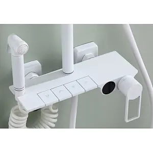 Shower sets（white)‚ brass body‚ wanhai cartridge‚ zinc handle‚ S/S pipe+White Plastic Top rain shower 25cm+White plastic hand shower‚ 1.5M White PVC hose‚brass 304# S/S Excentric+ S/S cover (black)