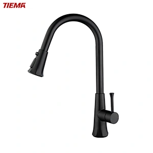 TIEMA Thiết kế sang trọng Vòi bếp kéo một lỗ hiện đại