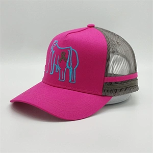Wholesale Multi-color Custom 5 Panel Mesh Embroidery Logo Trucker Hat Caps With Logo