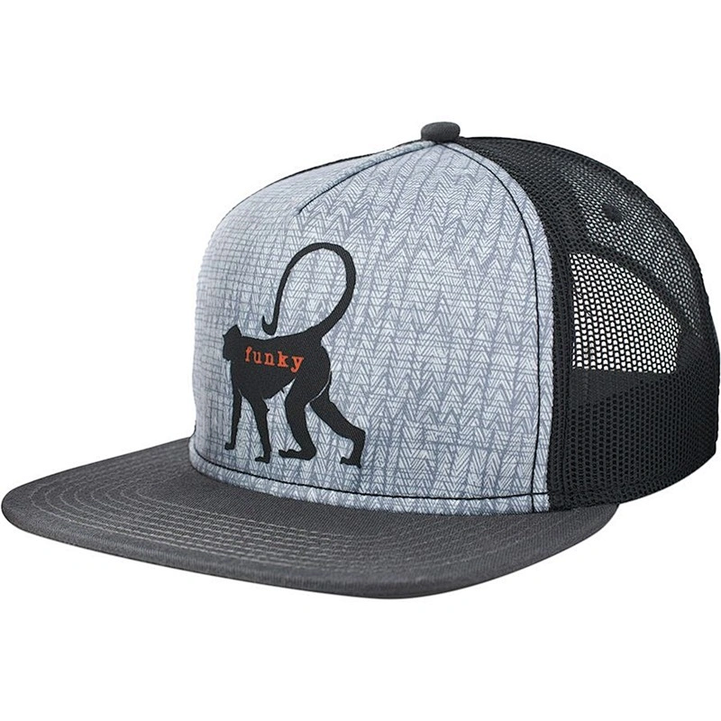 Well Designed Cheap Wholesale 5 Panel Multi Color Printed Flat Brim Printing  Snapback Truck Hat Cap