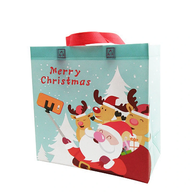 NON WOVEN TOTE BAG-N19025