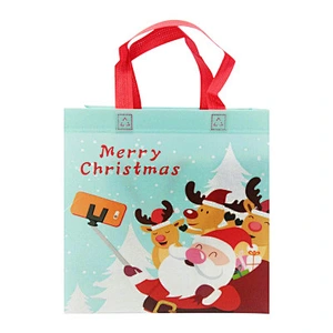 NON WOVEN TOTE BAG-N19025