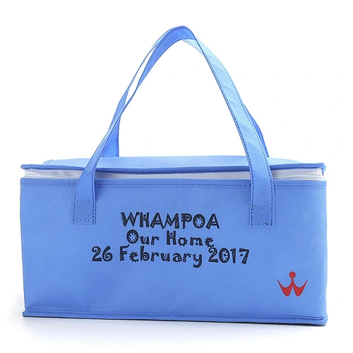 PICNIC BAG-C19007