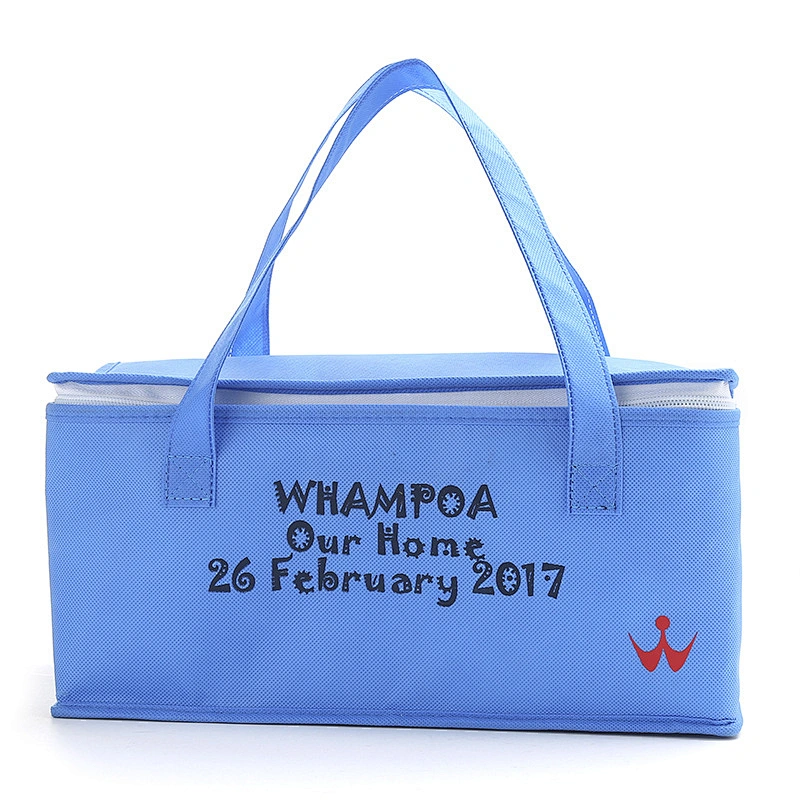 PICNIC BAG-C19007