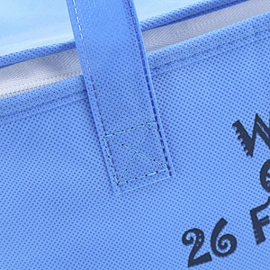 PICNIC BAG-C19007