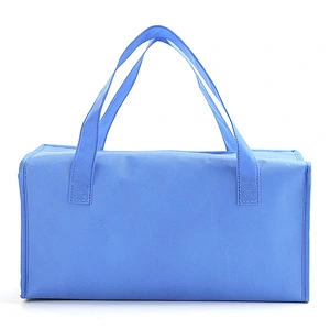 PICNIC BAG-C19007