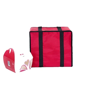 COOLER BAG-C19015