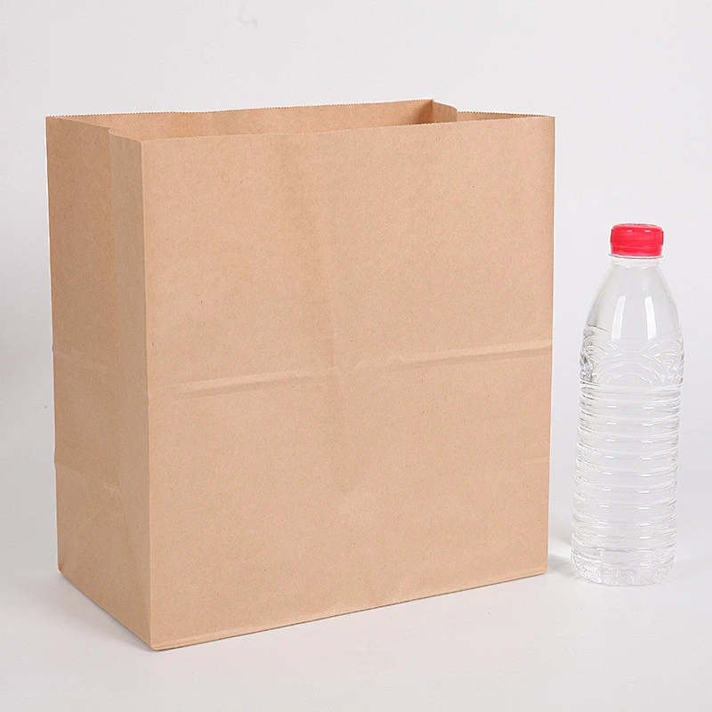 KRAFT PAPER BAG-K20003
