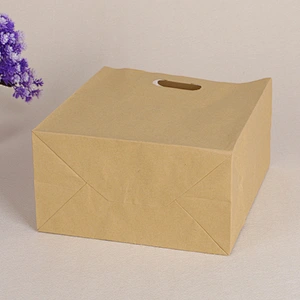 KRAFT PAPER BAG-K20002