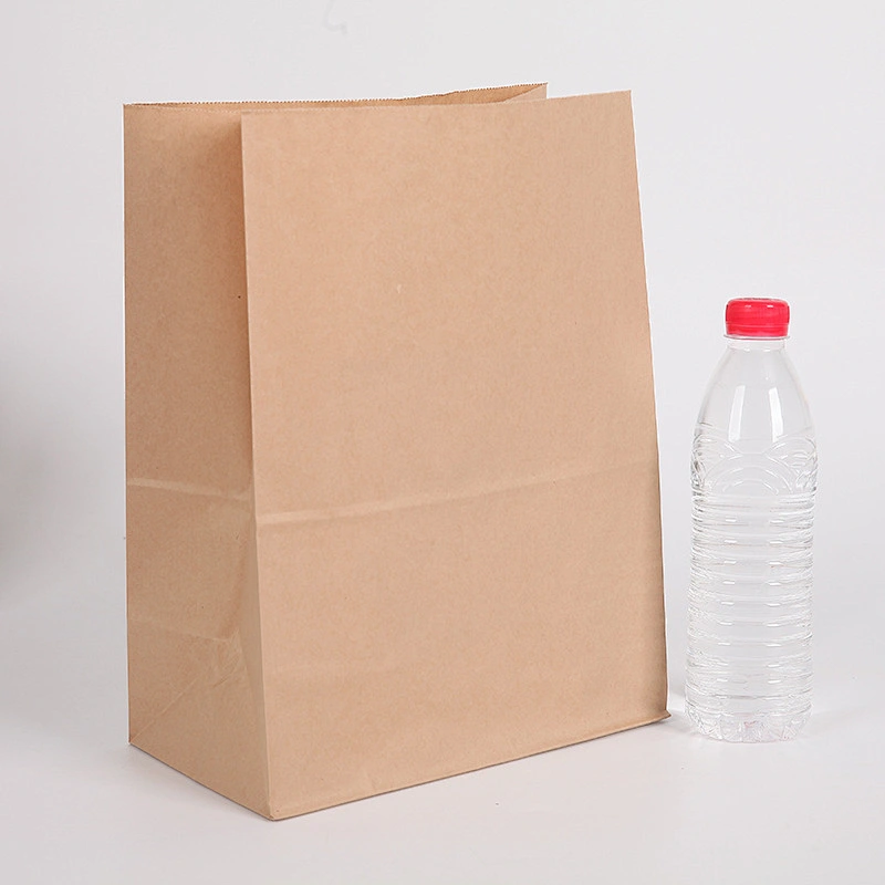 KRAFT PAPER BAG-K20003
