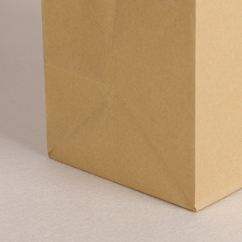 KRAFT PAPER BAG-K20002
