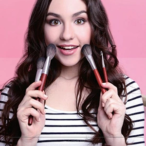 Makeup Brush Set