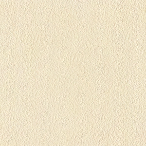 Mars Stone-Rough