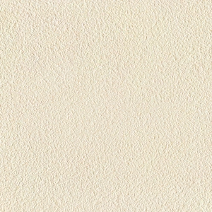 Mars Stone-Rough