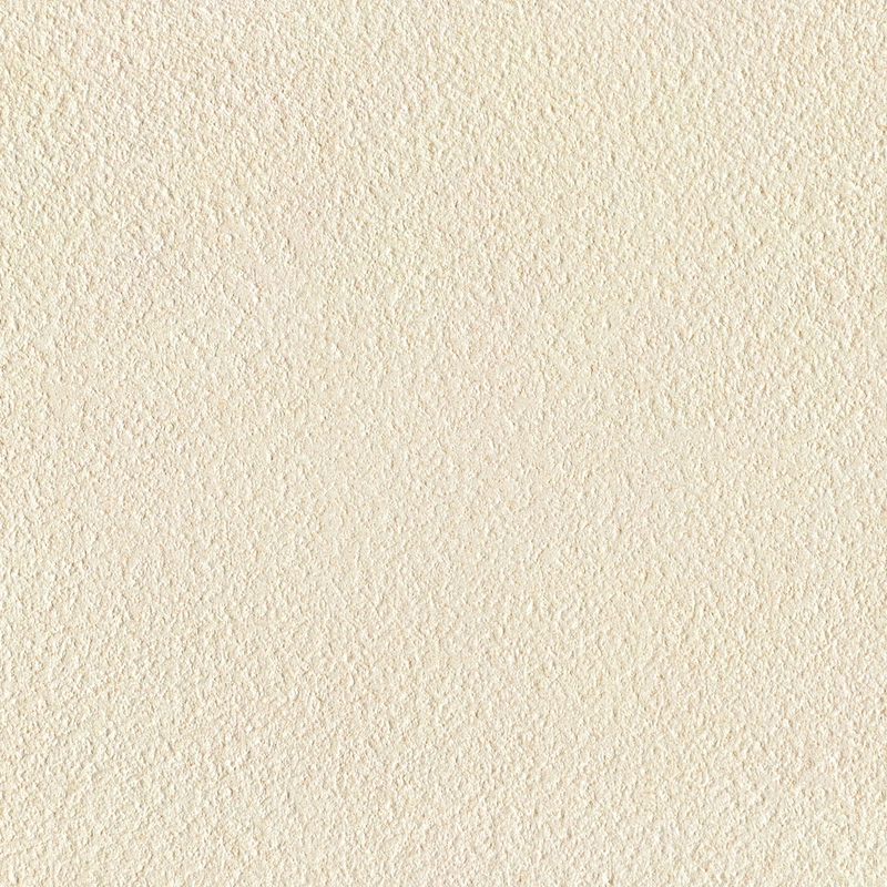 Mars Stone-Rough