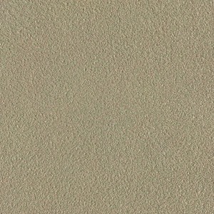 Mars Stone-Rough