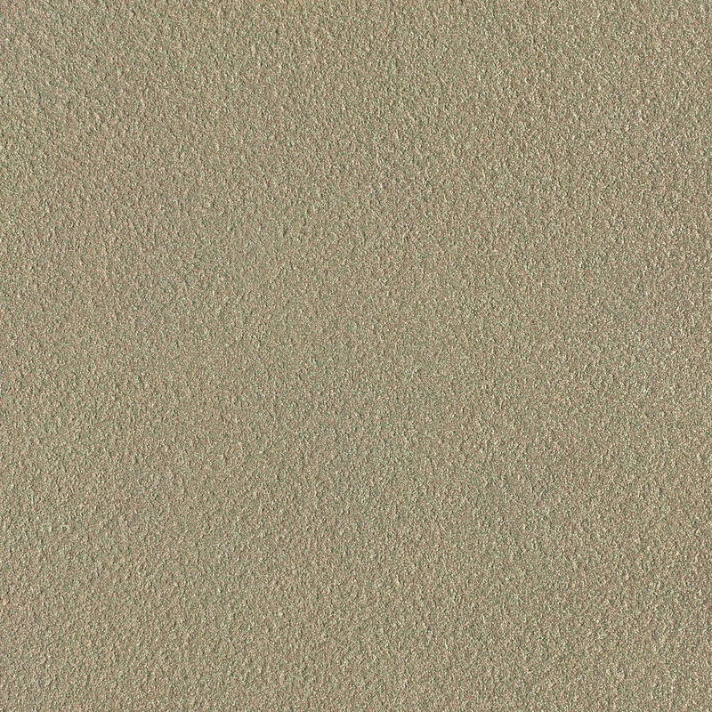 Mars Stone-Rough