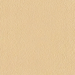 Mars Stone-Rough