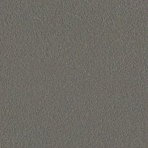 Mars Stone-Rough