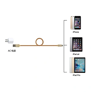 New products Metallic braid mfi certified usb 8pin cable for iphone 8/ipad air