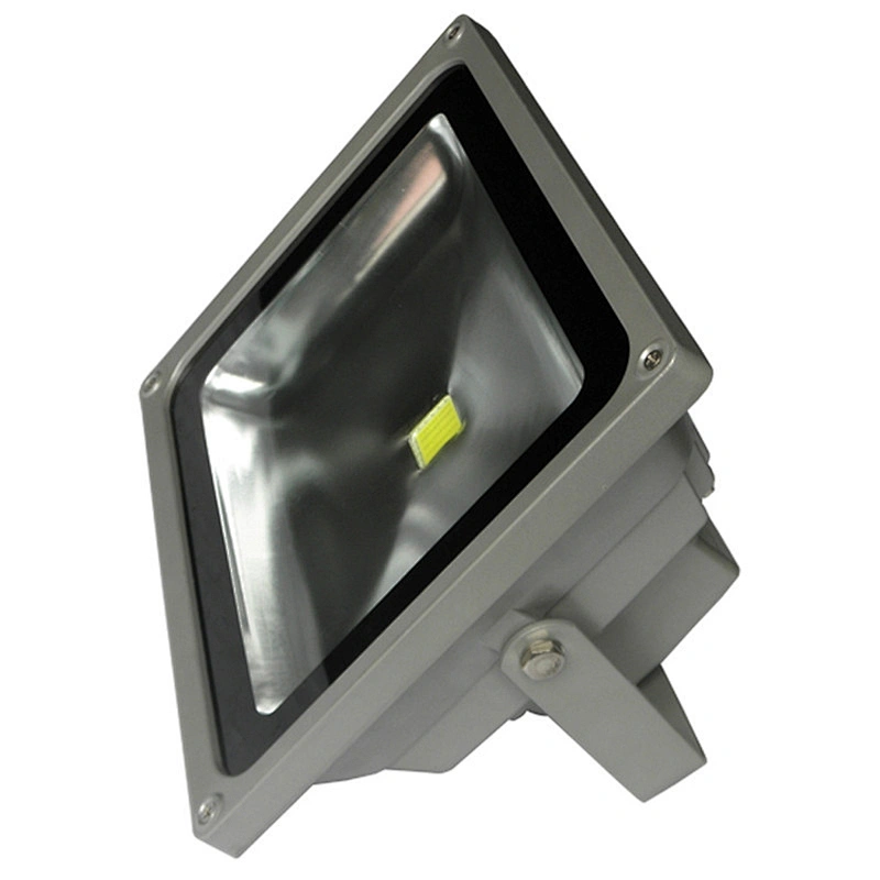 LED FLOOD LIGHT 30