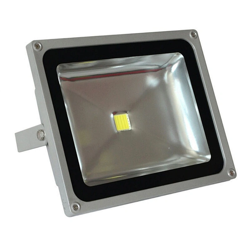 LED FLOOD LIGHT 30